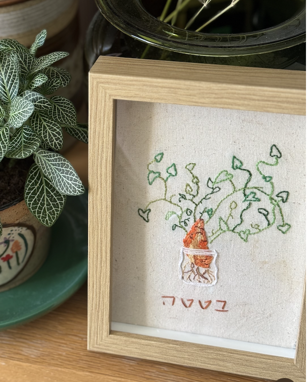 רקמת בטטה מושרשת