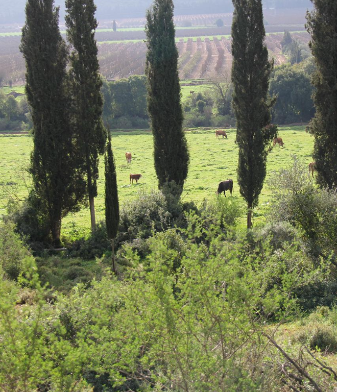 Retreat gallery image